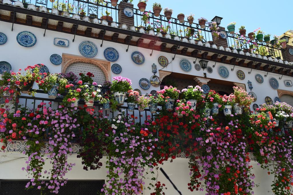 Carmen De Ramilla, Encantadora Guesthouse Con Piscina Soleada Granada Exteriér fotografie