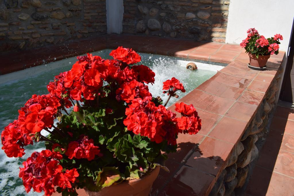 Carmen De Ramilla, Encantadora Guesthouse Con Piscina Soleada Granada Exteriér fotografie