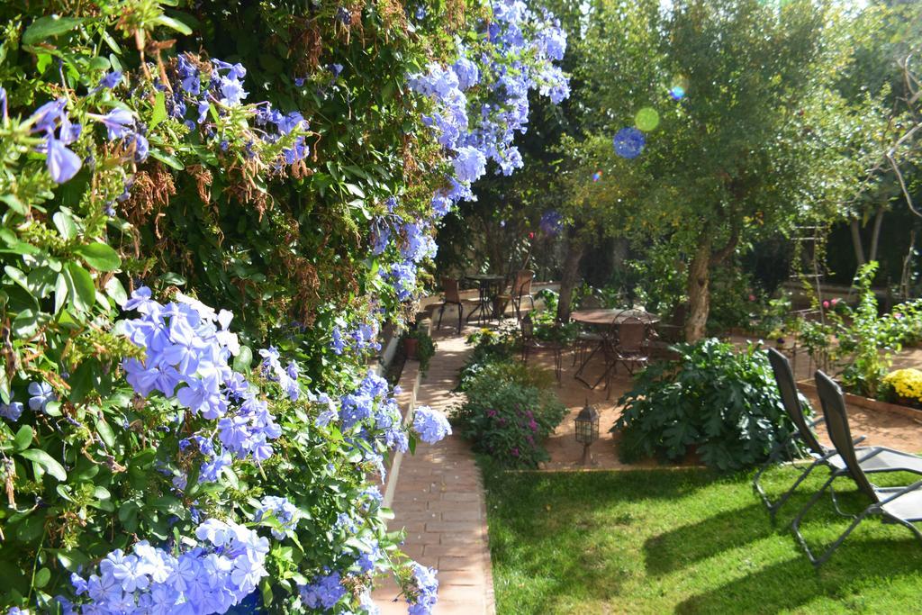 Carmen De Ramilla, Encantadora Guesthouse Con Piscina Soleada Granada Exteriér fotografie