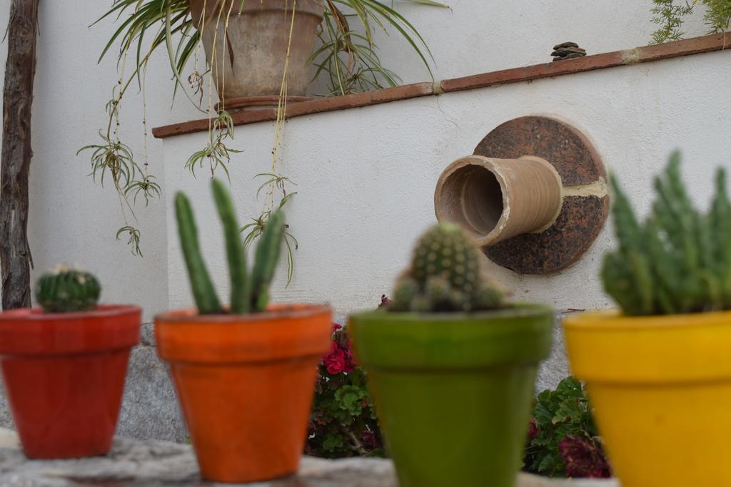 Carmen De Ramilla, Encantadora Guesthouse Con Piscina Soleada Granada Exteriér fotografie