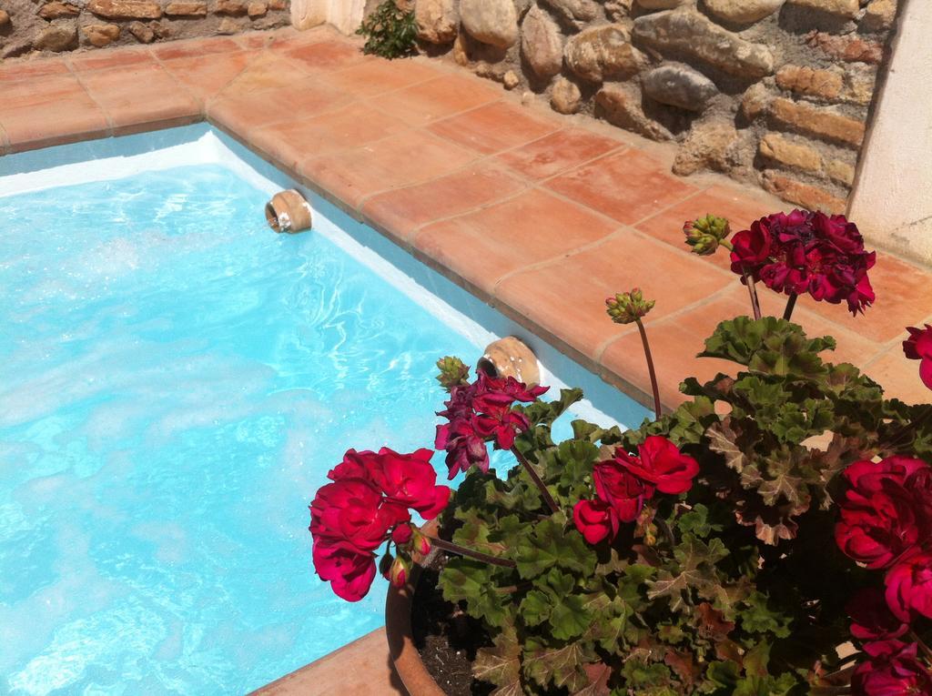 Carmen De Ramilla, Encantadora Guesthouse Con Piscina Soleada Granada Exteriér fotografie